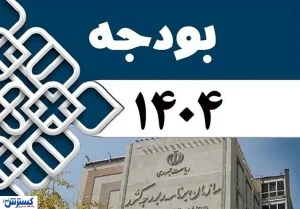 موافقت مجلس با اصلاحات لایحه بودجه ۱۴۰۴