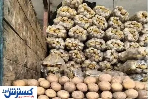 نرخ قطعی سیب‌زمینی در بازار مسکوت ماند !