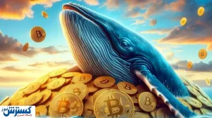 نهنگ ها برای خرید این ارز دیجیتال سر و گردن شکستند