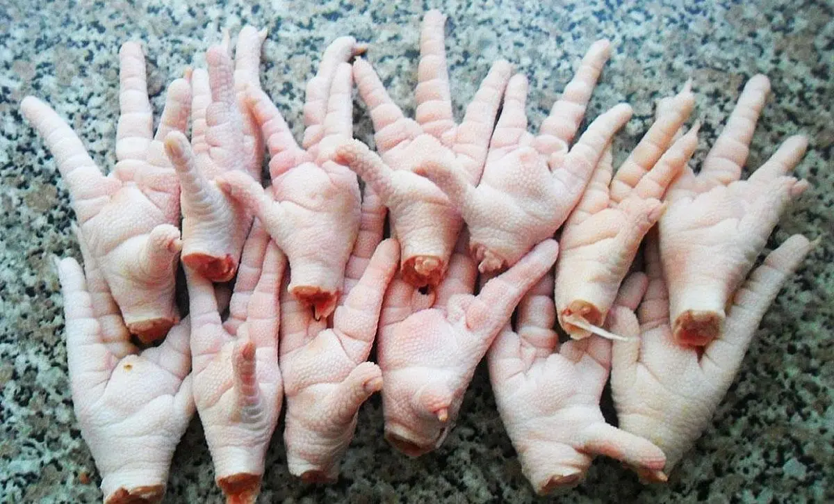 پای-مرغ