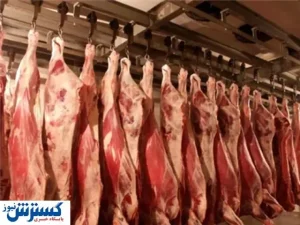 قیمت مصوب گوشت گوساله و گوسفندی در بازار مشخص شد