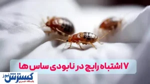 ۷ اشتباه رایج در نابودی ساس که باید بدانید! + راه‌حل‌های از بین بردن ساس