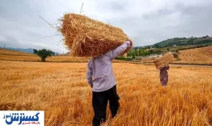 دولت برای پرداخت مطالبات این افراد دست به کار شد