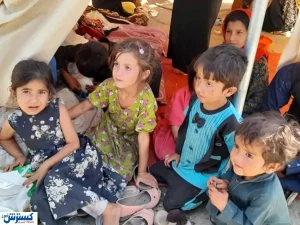 زاد و ولد انفجاری افغانستانی‌ها تهدیدی برای اقتصاد ایران