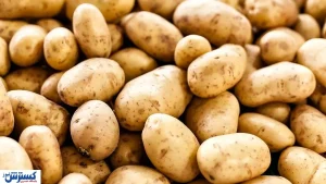خبر رسمی درباره قیمت سیب زمینی و پیاز اعلام شد (۱۸ تیر)