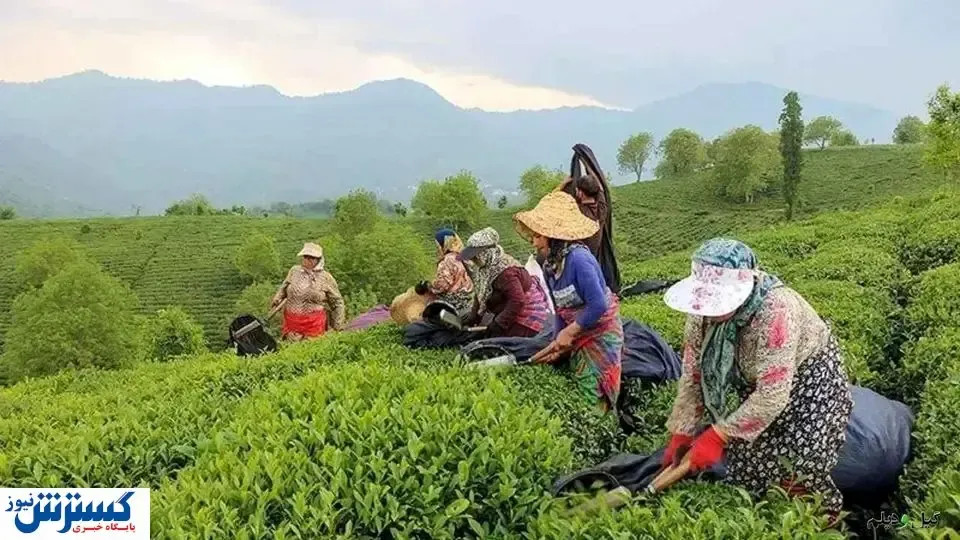 دولت به وعده‌اش عمل کرد | مطالبات پرداخت شد