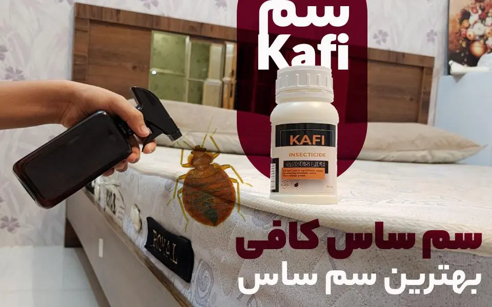 سم ساس کافی – Kafi : بهترین سم ساس دیجی کالا