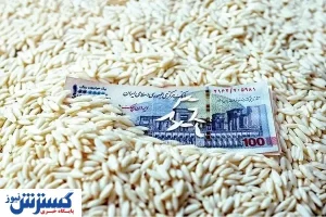 قیمت برنج در بازار حسابی قد کشید !