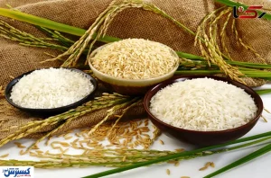 آشوب در بازار برنج | نرخ مصوب دولت اعلام شد