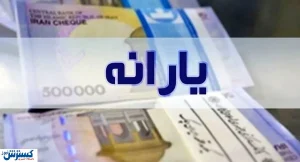سرپرستان خانوار حتماً شبای خود را در سامانه «سیمین» ثبت کنند