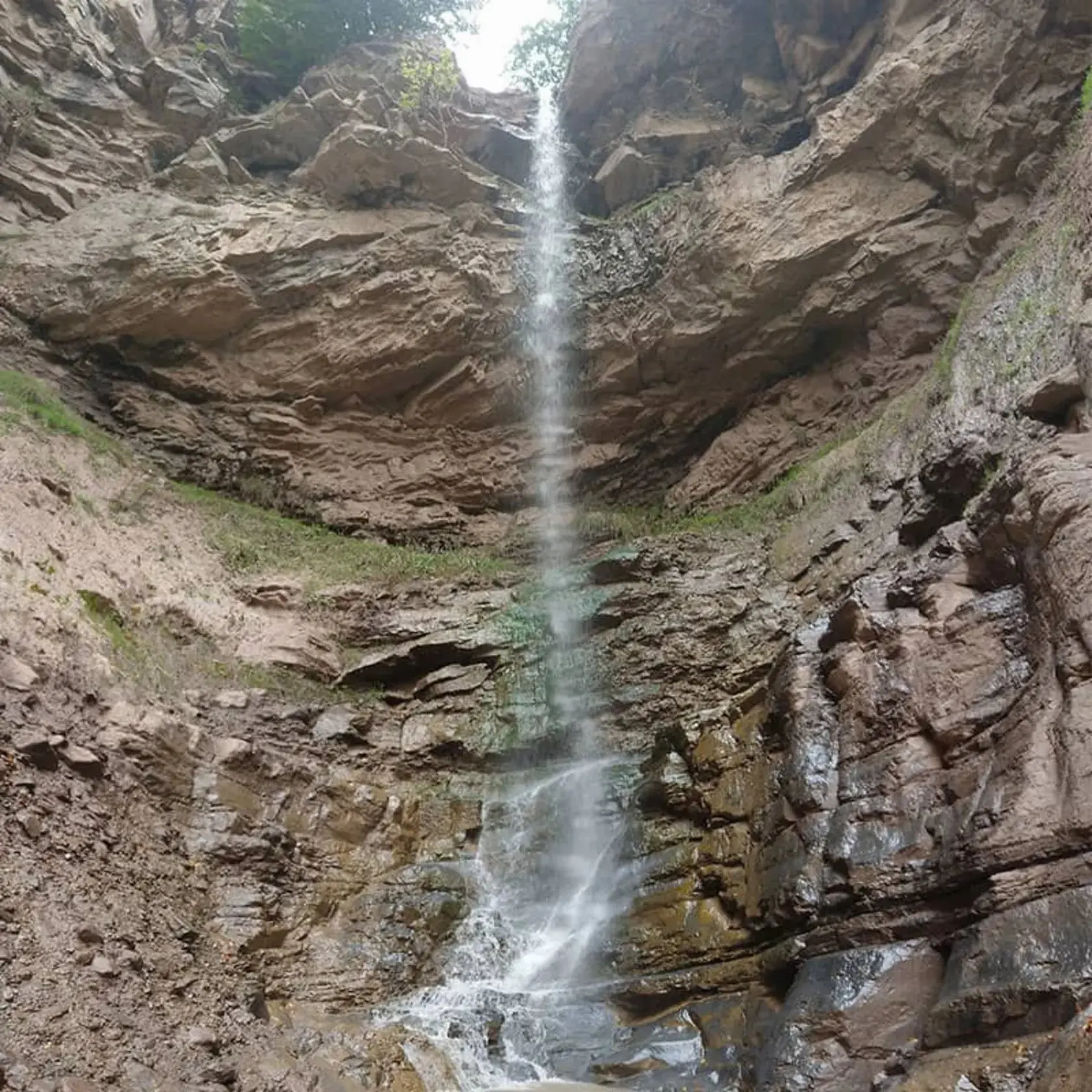 شخ_موسی