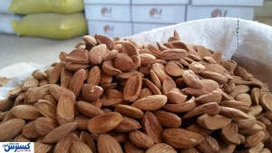 قیمت گران ترین بادام بازار اعلام شد + جدول آبان ماه