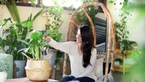 نکات مراقبت از گیاهان آپارتمانی برای مبتدیان
