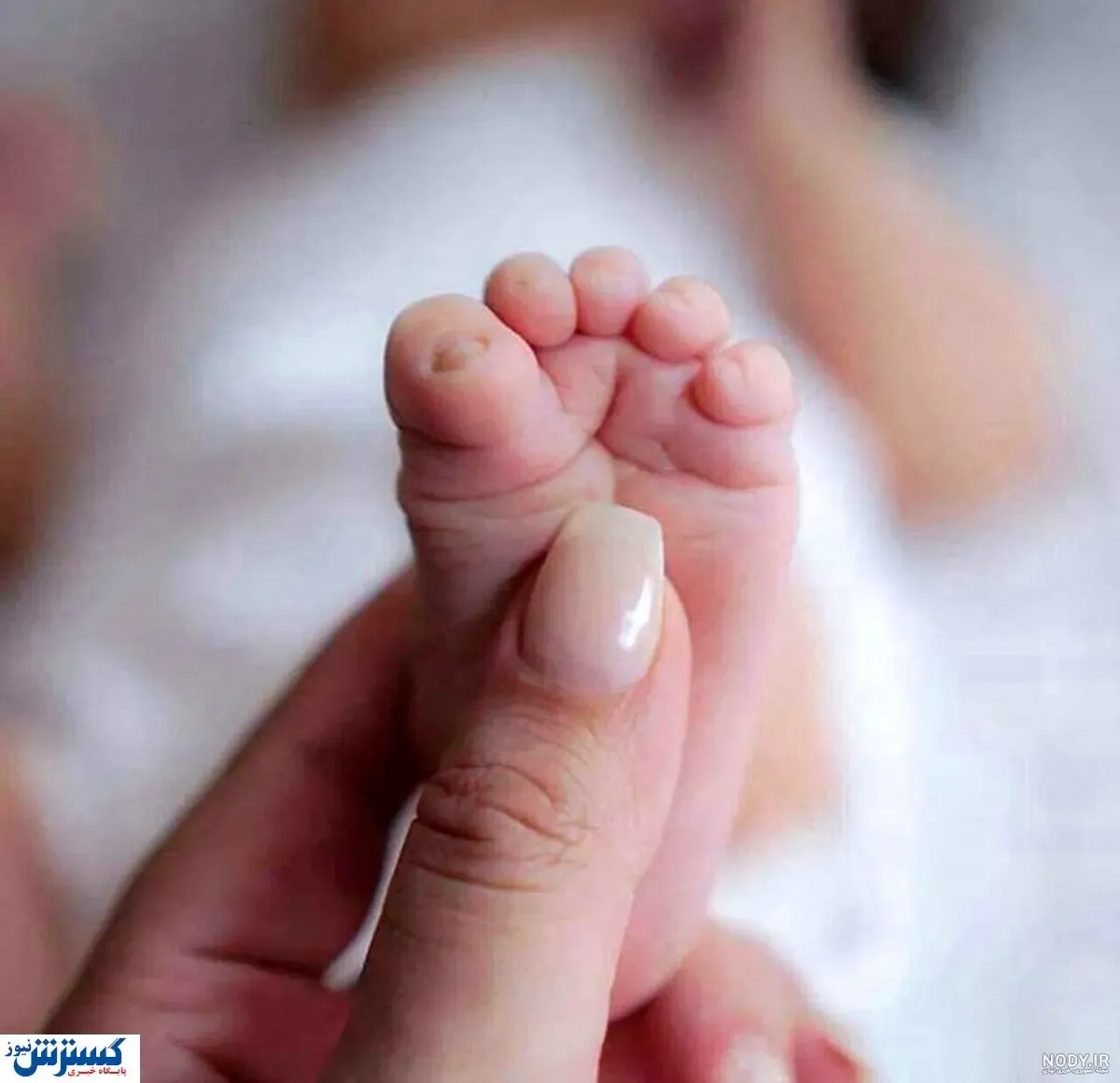 دولت سنگ تمام گذاشت ؛ آغاز ثبت نام سهام ویژه نوزادان + لینک اصلی