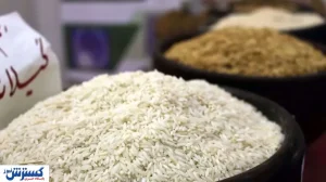 خبر جدید درباره برنج پاکستانی رسماً اعلام شد