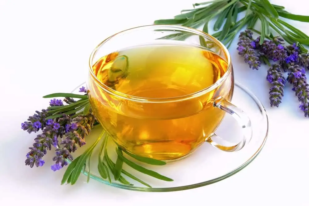 اسطوخودوس
