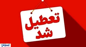 تعطیلی کامل مدارس تا آخر هفته؛ آنفلوآنزا کار خودش را کرد