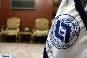 تعاونی‌ها روی ریل نوآوری؛ تأمین مالی جدید در راه است