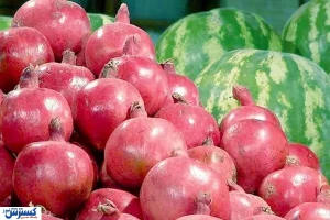 وضعیت قیمت در بازار میوه شب یلدا مشخص شد