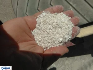 فرمول جوانی پوست و ضد ریزش مو کشف شد