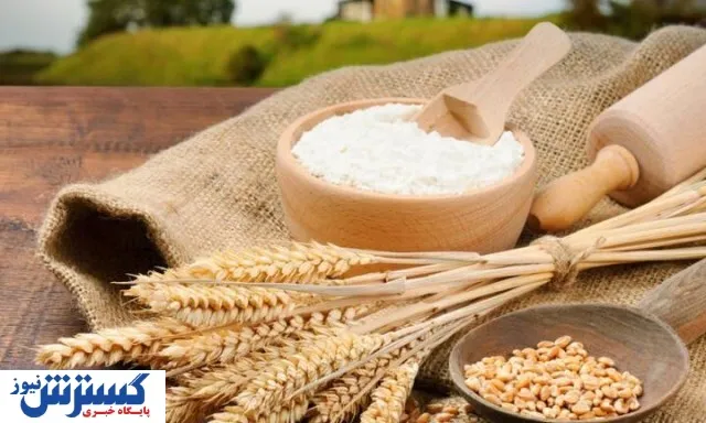 قیمت گندم در بودجه سال آینده اعلام شد