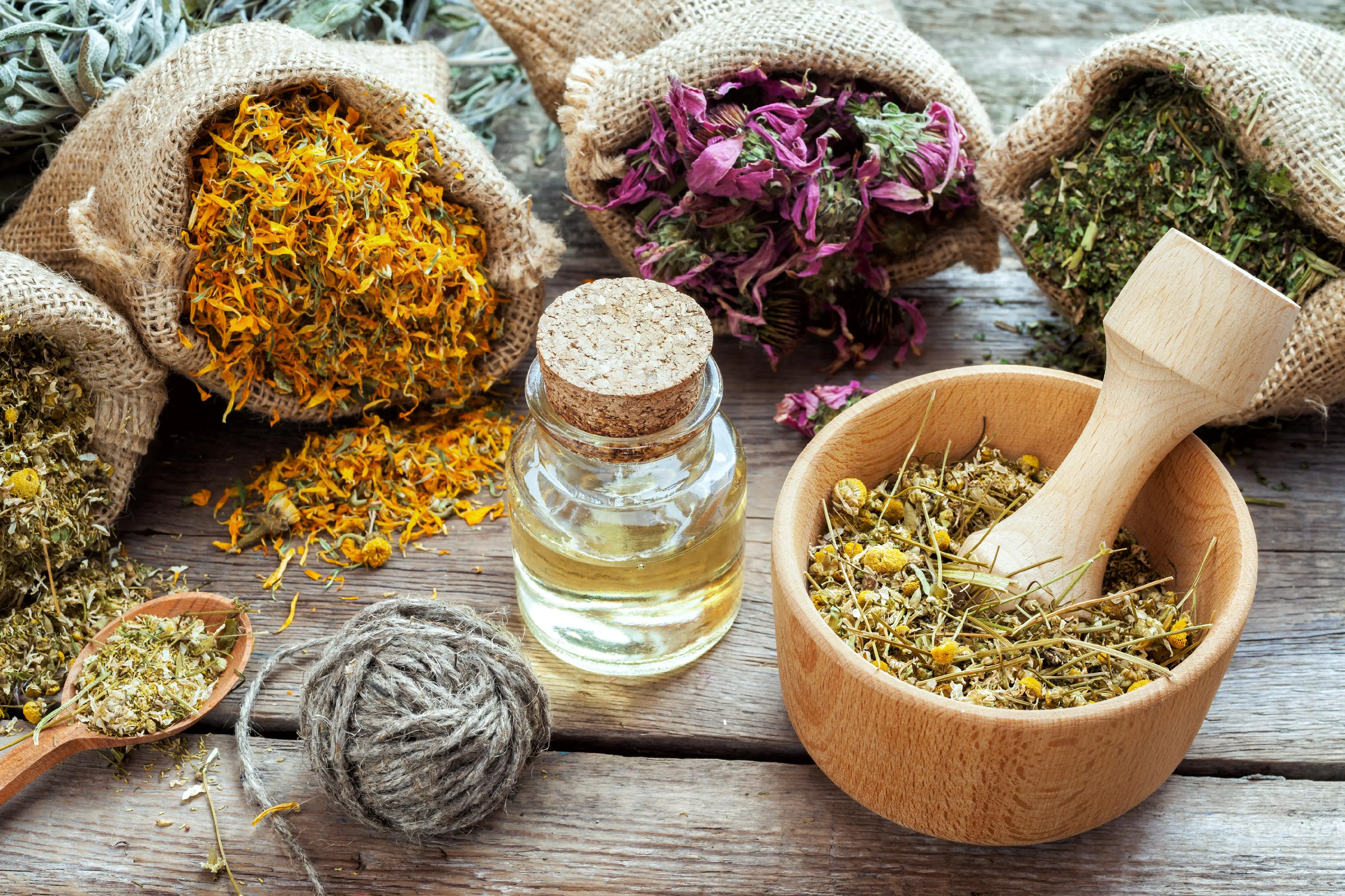 گیاهان -دارویی-برای-حیوانات