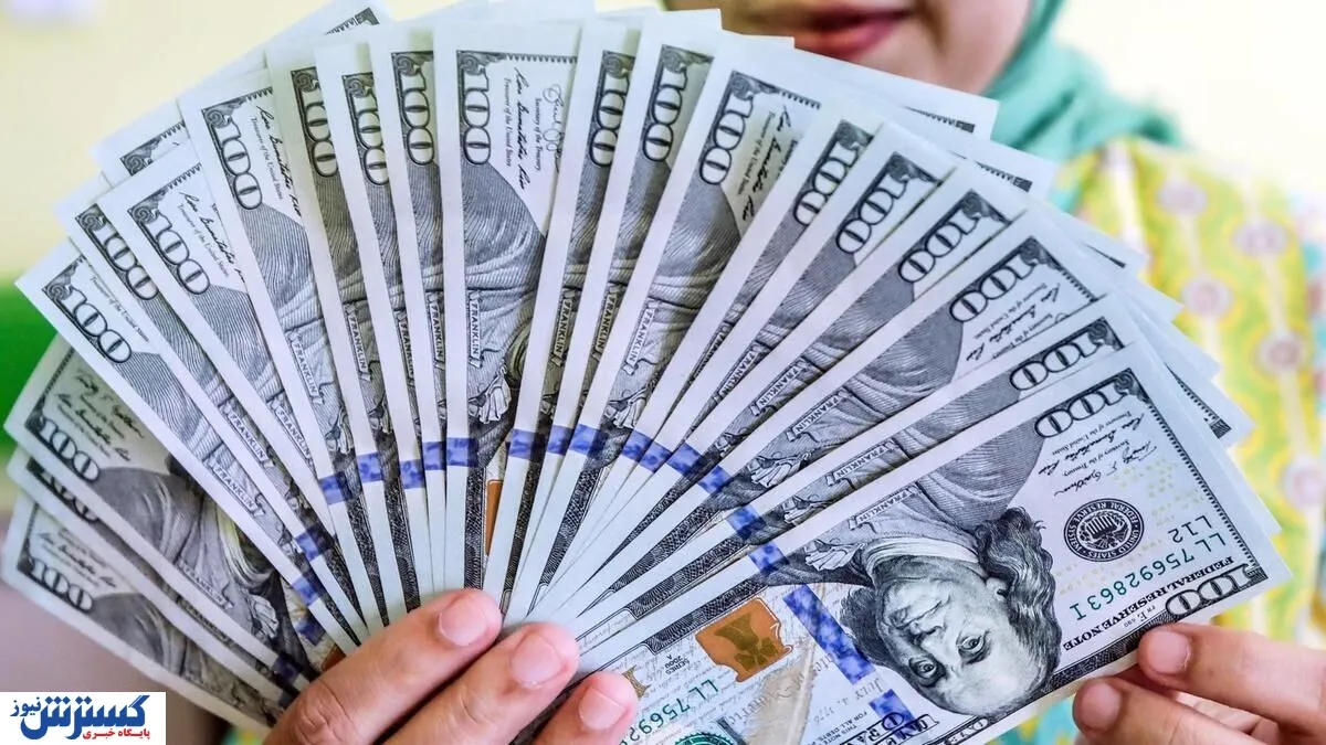آمار تخصیص دلار به شرکت های ایرانی لو رفت