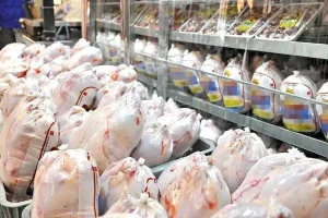 زنگ خطر در باره قیمت مرغ | حذف ارز ترجیحی بازار را بهم ریخت