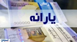 قطع یارانه کالا‌های اساسی به اتباع خارجی قطعی شد