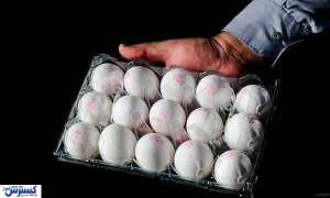 خبر رسمی درباره قیمت جدید تخم مرغ اعلام شد