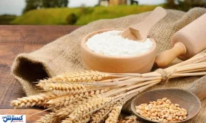 قیمت درخواستی گندمکاران برای خرید تضمینی گندم اعلام شد