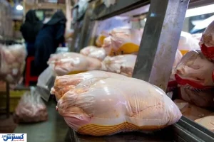 قیمت جدید مرغ اعلام شد (۱ بهمن ۱۴۰۴)