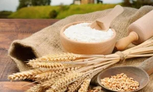 تکلیف قیمت نان تا پایان سال روشن شد | آرد نانوایی ها برای ماه رمضان تامین است؟
