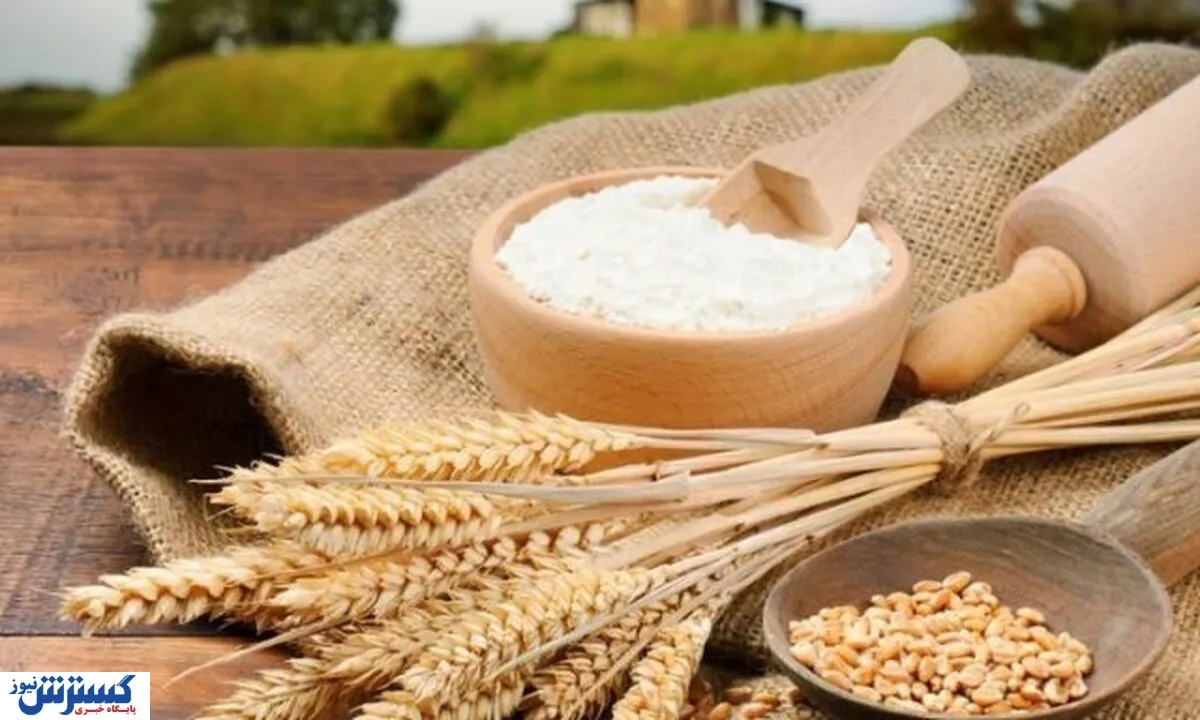 خبر رسمی درباره قیمت گندم بعد از تغییرات ارزی در کشور اعلام شد