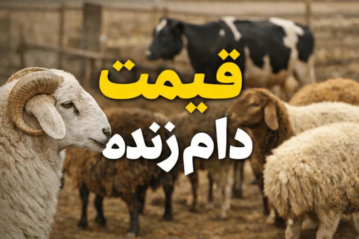 قیمت دام زنده گوسفند امروز ۲۷ بهمن اعلام شد