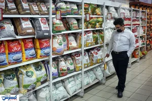 قیمت رسمی برنج هندی اعلام شد / مردم با کالابرگ بخرند