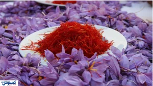 گنجِ سرخ ایران دوباره خبرساز شد / تاج پادشاه بازار جهانی به ایران رسید