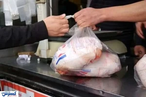 قیمت واقعی مرغ بالاخره اعلام شد