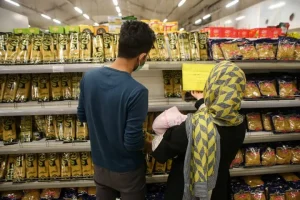خبر مهم میدری درباره کالابرگ / افزایش مبلغ یارانه قطعی شد؟