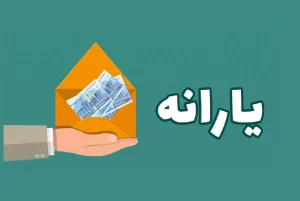 اجرای مدل تازه حمایت معیشتی / یارانه نقدی پشتوانه خرید کالا می‌شود