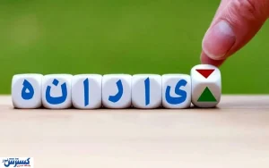 یارانه نقدی فقط ویترین بود / هدف اصلی هدفمندسازی چه شد؟