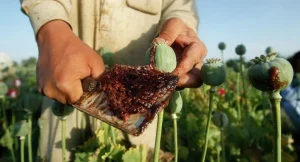 ترک اعتیاد تریاک؛ راهنمای کامل درمان با کمپ ترک اعتیاد جمشیدیه