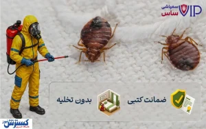 بهترین شرکت های سمپاشی ساس با ضمانت ریشه کنی قطعی ساس تختخوابی