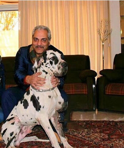 مهران مدیری