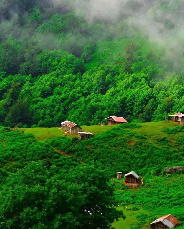 اقامتگاه طبیعی