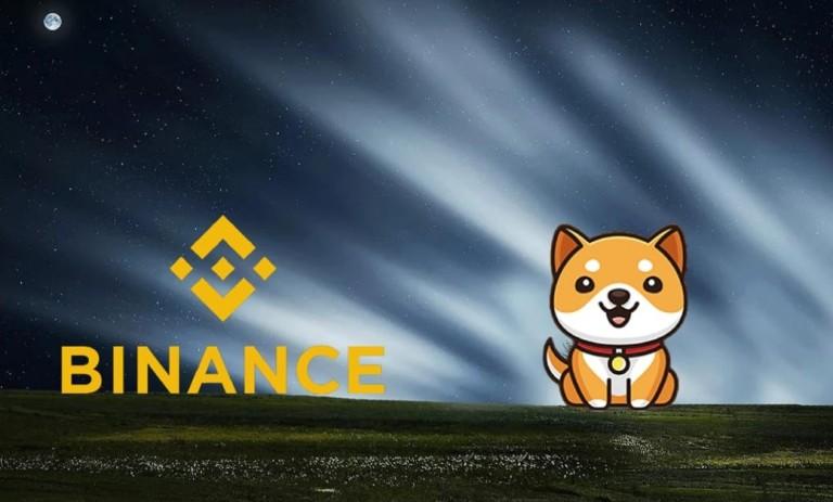 اهداف رمزارز بیبی دوج کوین