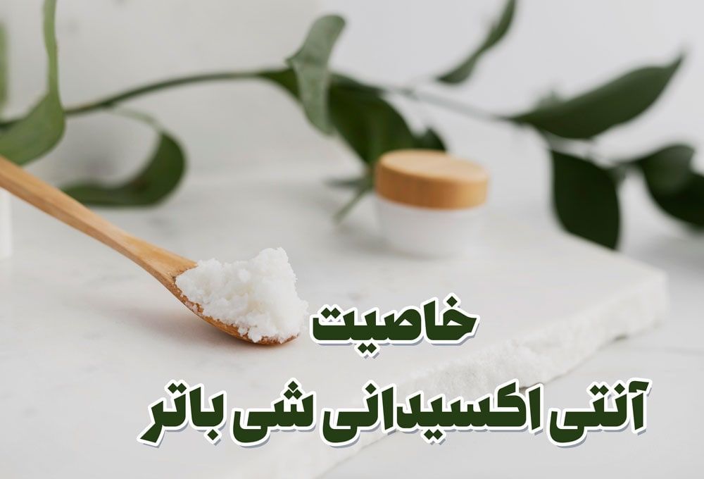 شی باتر چیست؟