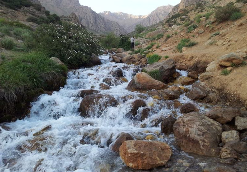 اجاره روزانه خانه در تهران