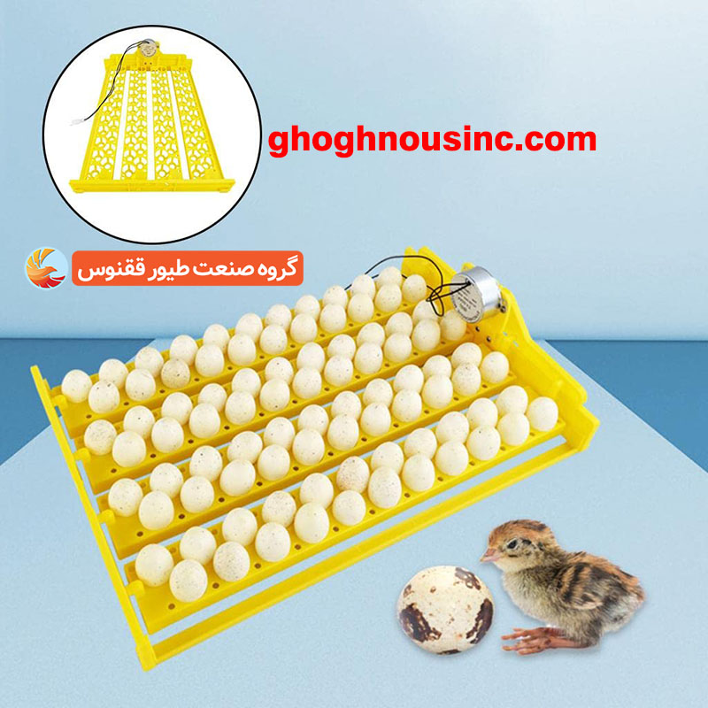 دستگاه جوجه کشی صنعتی