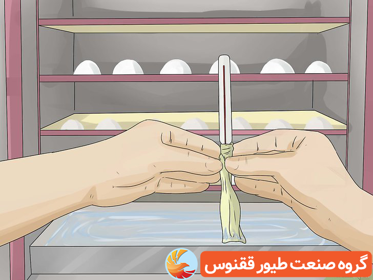 رطوبت دستگاه جوجه کشی